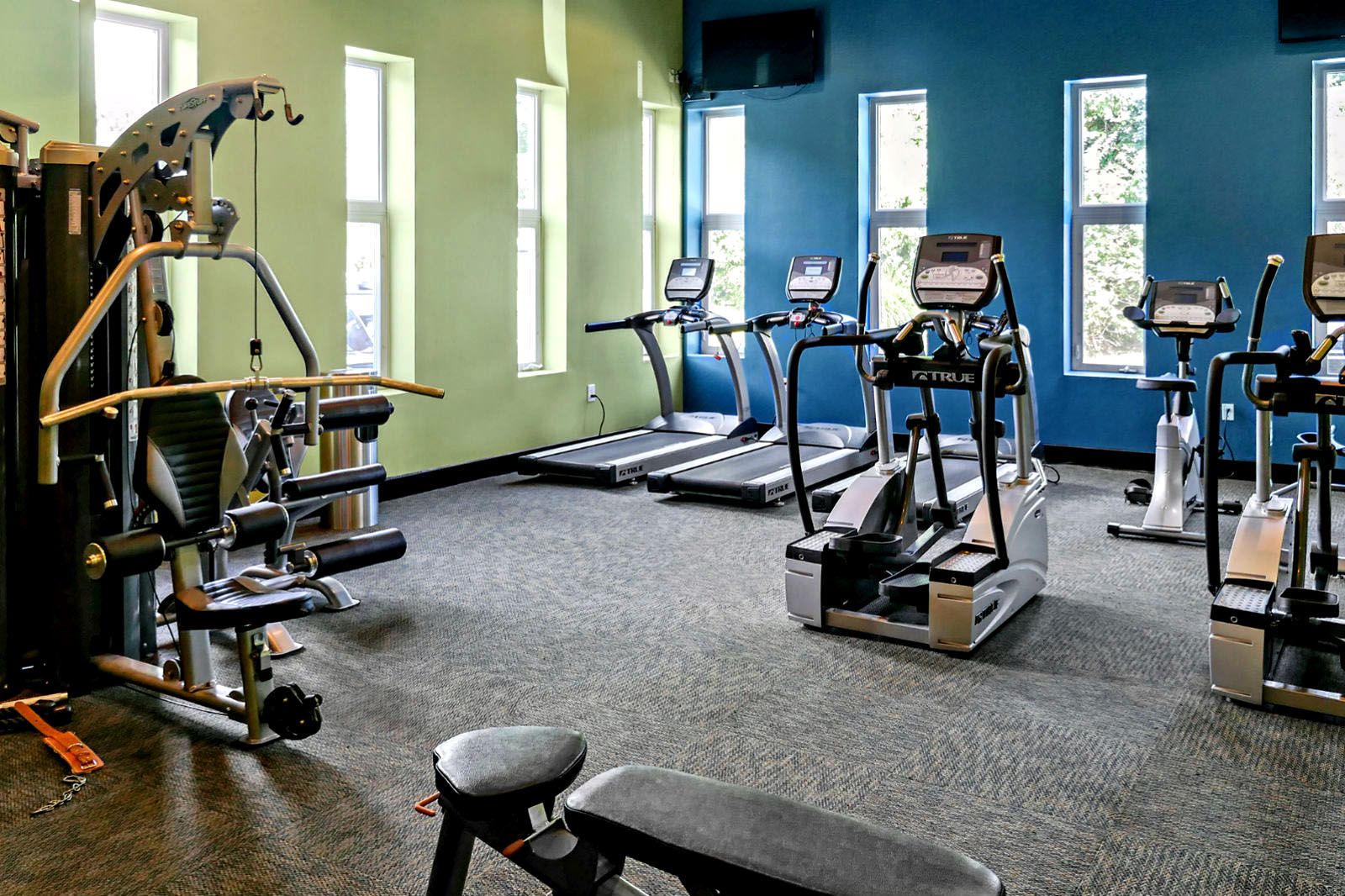 Rockwood Apartments A gym room with treadmills, elliptical machines, a weight machine, and a workout bench by tall windows.